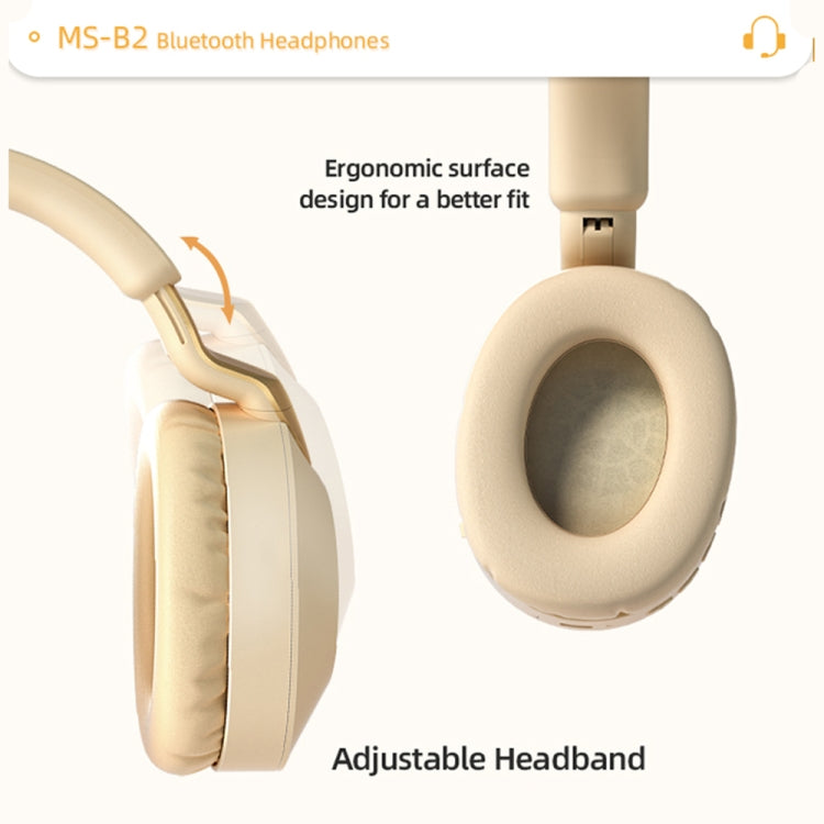 B2 Wireless Bluetooth 5.1 Foldable Noise Reduction Headset(Black) - Headset & Headphone by PMC TechLife | Online Shopping South Africa | PMC TechLife