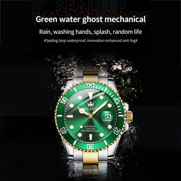 OLEVS 6650 Men Luminous Waterproof Mechanical Watch(Green + Gold) - Metal Strap Watches by OLEVS | Online Shopping South Africa | PMC Jewellery