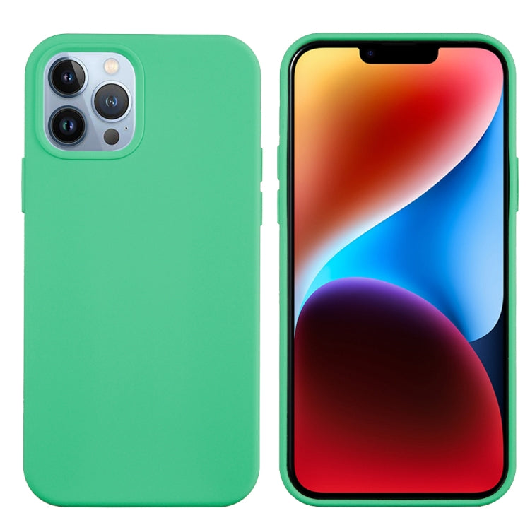 For iPhone 15 Pro Max Solid Color Silicone Phone Case(Green) - iPhone 15 Pro Max Cases by PMC Jewellery | Online Shopping South Africa | PMC Jewellery