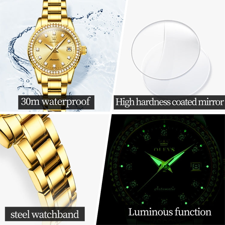 OLEVS 7003 Women Multifunctional Waterproof Mechanical Watch(Gold) - Metal Strap Watches by OLEVS | Online Shopping South Africa | PMC Jewellery | Buy Now Pay Later Mobicred