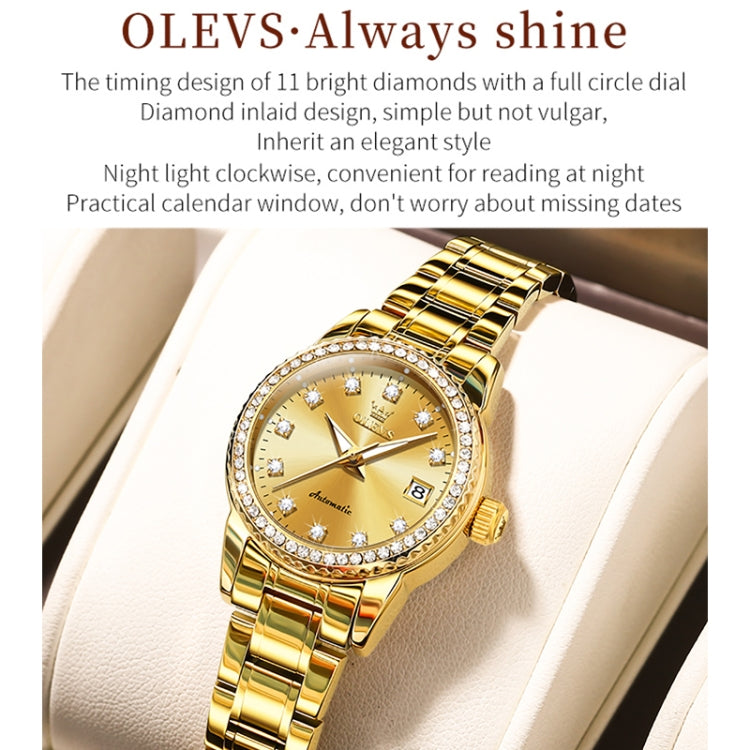 OLEVS 7003 Women Multifunctional Waterproof Mechanical Watch(Gold) - Metal Strap Watches by OLEVS | Online Shopping South Africa | PMC Jewellery | Buy Now Pay Later Mobicred