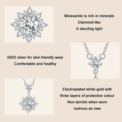 MSN017 Sterling Silver S925 Platinum Plated Zircon Simple Light Luxury Necklace - Necklaces & Pendants by PMC Jewellery | Online Shopping South Africa | PMC Jewellery