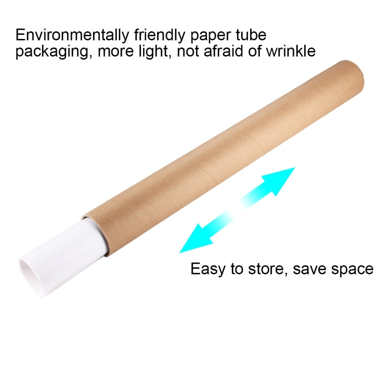 PULUZ Photography Background PVC Paper Kits for Studio Tent Box, Size: 156cm x 80cm(White) - Solid Color by PULUZ | Online Shopping South Africa | PMC TechLife | Buy Now Pay Later Mobicred