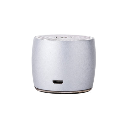 EWA A103 Portable Bluetooth Speaker Wireless Heavy Bass Bomm Box Subwoofer Phone Call Surround Sound Bluetooth Shower Speaker(Silver) - Mini Speaker by EWA | Online Shopping South Africa | PMC Jewellery