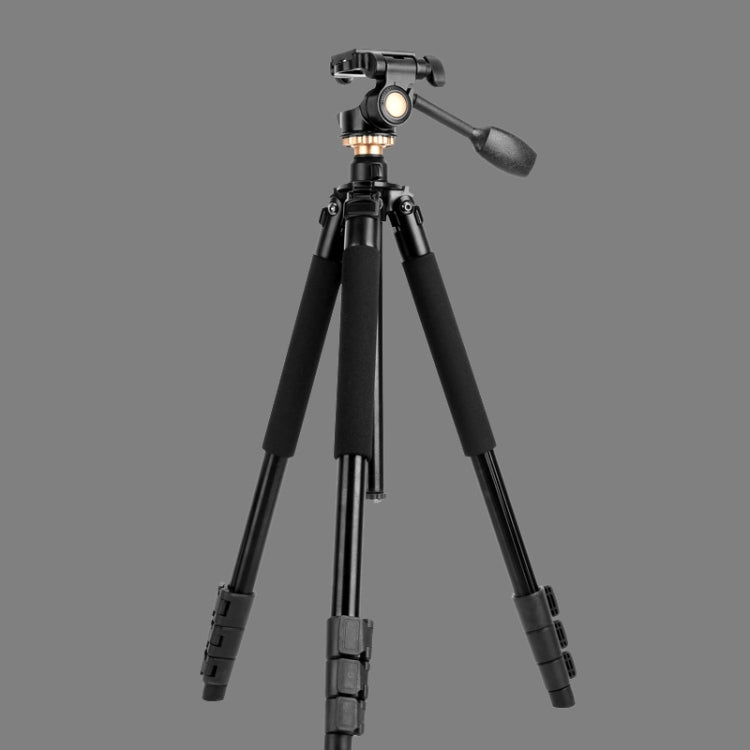 Q338 4-Section Folding Legs Live Broadcast Aluminum Alloy Tripod Mount With Three-dimensional Head - Tripods by PMC TechLife | Online Shopping South Africa | PMC TechLife