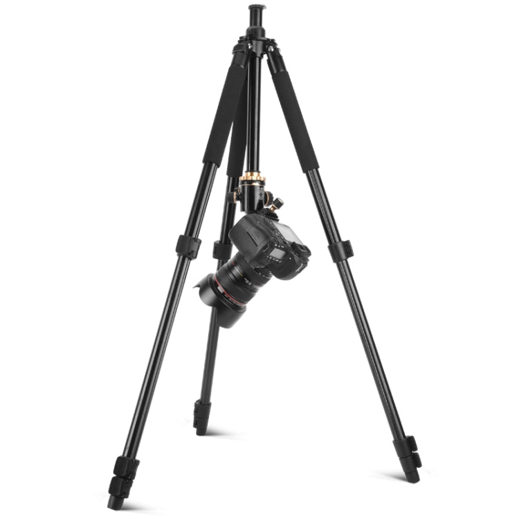 Q338 4-Section Folding Legs Live Broadcast Aluminum Alloy Tripod Mount With Three-dimensional Head - Tripods by PMC TechLife | Online Shopping South Africa | PMC TechLife