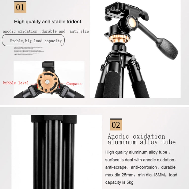 Q338 4-Section Folding Legs Live Broadcast Aluminum Alloy Tripod Mount With Three-dimensional Head - Tripods by PMC TechLife | Online Shopping South Africa | PMC TechLife