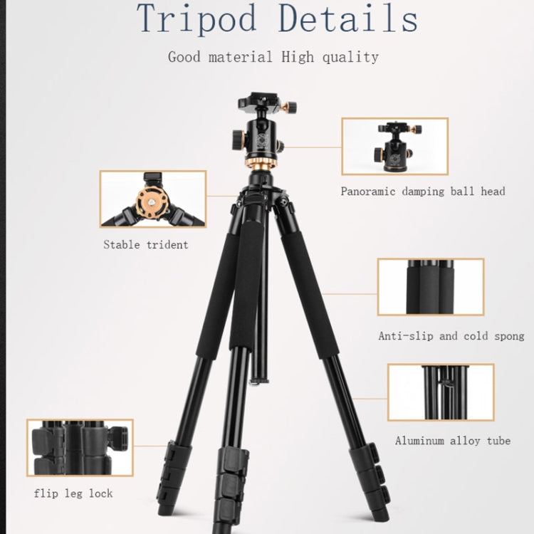 Q338 4-Section Folding Legs Live Broadcast Aluminum Alloy Tripod Mount With Three-dimensional Head - Tripods by PMC TechLife | Online Shopping South Africa | PMC TechLife