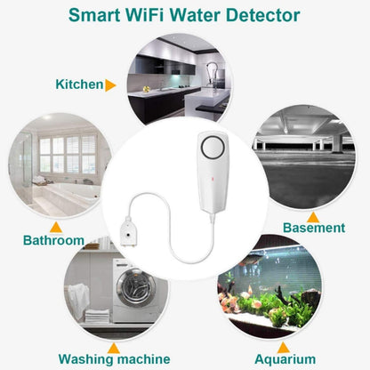 WIFI Smart APP Remote Water Leakage Alarm - Water Leakage Alarm by PMC Jewellery | Online Shopping South Africa | PMC Jewellery