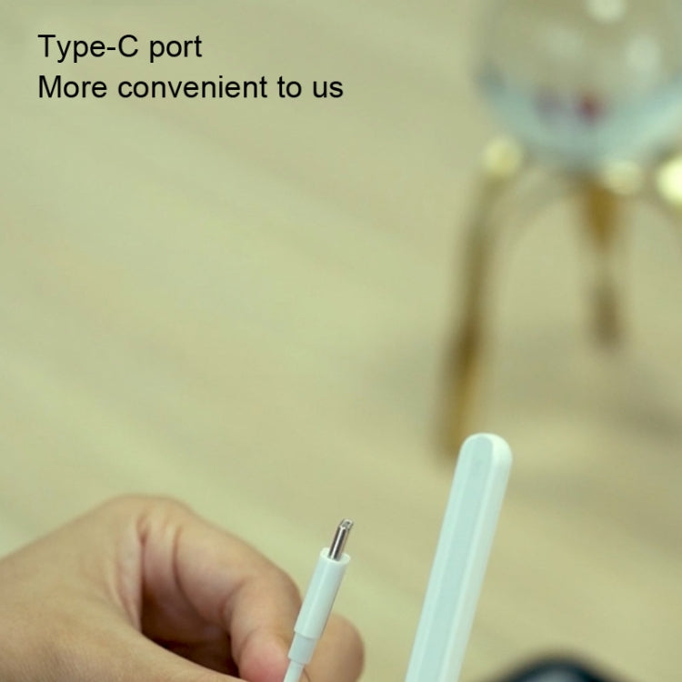 For Apple Pencil 2 RX-01 Capacitive Pen Magnetic Charging Cable - Pencil Accessories by PMC Jewellery | Online Shopping South Africa | PMC Jewellery